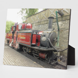 DAMPFZÜGE FOTOPLATTE