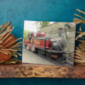 DAMPFZÜGE FOTOPLATTE (Seite)