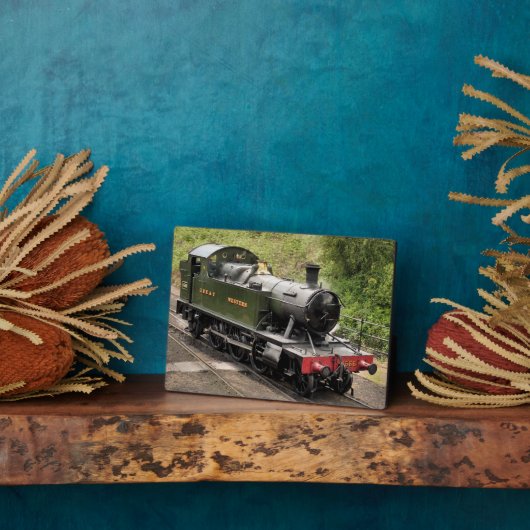 DAMPFZÜGE FOTOPLATTE (Seite)