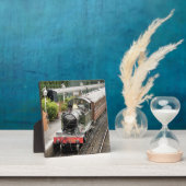 DAMPFZÜGE FOTOPLATTE (InSitu)