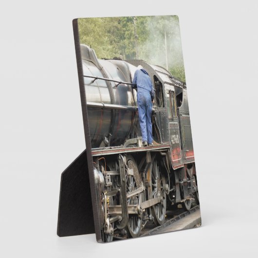 DAMPFZÜGE FOTOPLATTE (Seite)