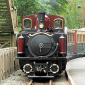 DAMPFZÜGE GESCHIRRTUCH