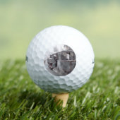 DAMPFZÜGE GOLFBALL (Insitu T-Shirt)