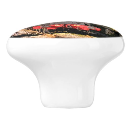 DAMPFZÜGE KERAMIKKNAUF (Seitenansicht)