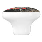 DAMPFZÜGE KERAMIKKNAUF (Seitenansicht)