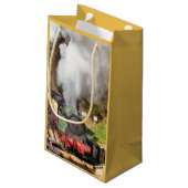 DAMPFZÜGE KLEINE GESCHENKTÜTE (Rückseite Schrägansicht)