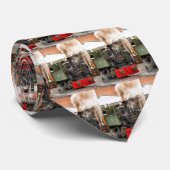 DAMPFZÜGE KRAWATTE (Gerollt)