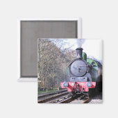 DAMPFZÜGE MAGNET (Vorderseite/Rückseite)