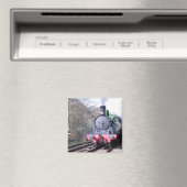 DAMPFZÜGE MAGNET (In Situ (Geschirrspüler))