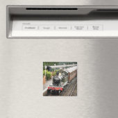 DAMPFZÜGE MAGNET (In Situ (Geschirrspüler))