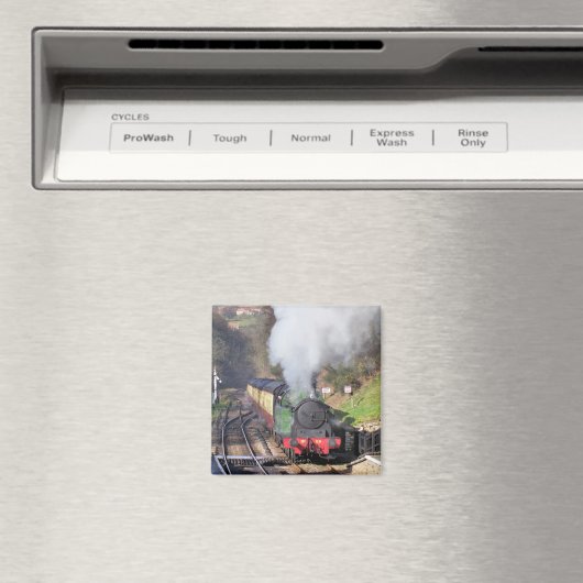 DAMPFZÜGE MAGNET (In Situ (Geschirrspüler))