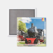 Dampfzüge Magnet (Vorderseite/Rückseite)