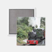 DAMPFZÜGE MAGNET (Vorderseite/Rückseite)