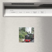 DAMPFZÜGE MAGNET (In Situ (Geschirrspüler))