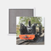 DAMPFZÜGE MAGNET (Vorderseite/Rückseite)