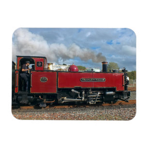 DAMPFZÜGE MAGNET