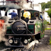 DAMPFZÜGE MATTGLAS BIERGLAS