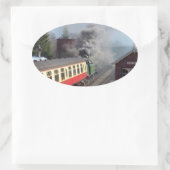 DAMPFZÜGE OVALER AUFKLEBER (Tasche)