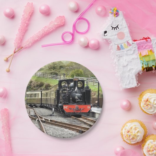 DAMPFZÜGE PAPPTELLER (Party)