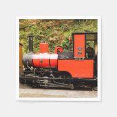 DAMPFZÜGE SERVIETTE (Vorderseite)