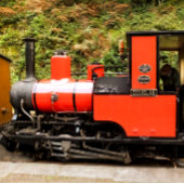 DAMPFZÜGE THERMOSBECHER