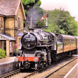 DAMPFZÜGE TISCHTENNIS SCHLÄGER