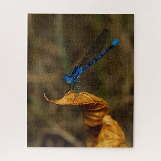 Damsel Fly Jigsaw Puzzle (Vertikal)