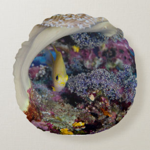 Damselfish-Wurfs-Kissen Rundes Kissen