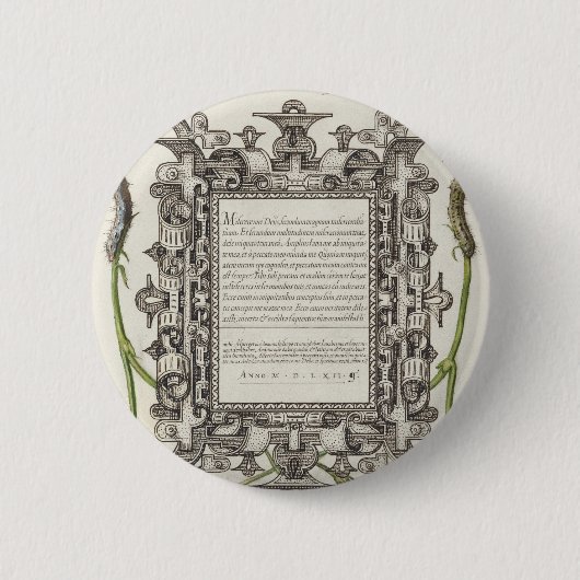 Damselflies, Raupen, Narbe und Dichter Button (Vorderseite)