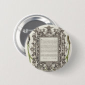 Damselflies, Raupen, Narbe und Dichter Button (Vorne & Hinten)