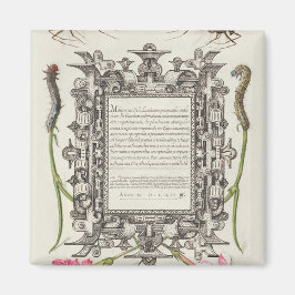 Damselflies, Raupen, Narbe und Dichter Magnet