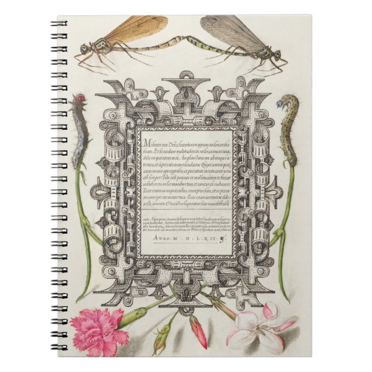 Damselflies, Raupen, Narbe und Dichter Notizblock (Vorderseite)