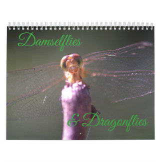 Damselflies-und Libellen-Kalender Kalender