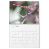 Damselflies-und Libellen-Kalender Kalender (Mär 2027)