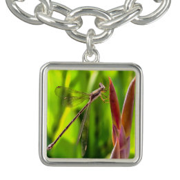 Damselfly balanciert auf einem Blume Armband