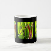 Damselfly balanciert auf einem Blume Kaffeetasse (Mittel)