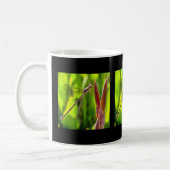 Damselfly balanciert auf einem Blume Kaffeetasse (Links)