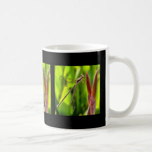 Damselfly balanciert auf einem Blume Kaffeetasse