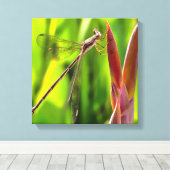 Damselfly balanciert auf einem Blume Leinwanddruck (Insitu (Holzboden))