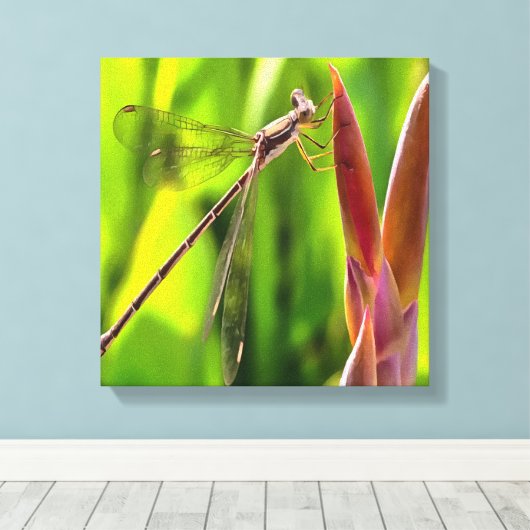 Damselfly balanciert auf einem Blume Leinwanddruck (Insitu (Holzboden))