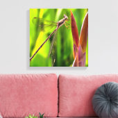 Damselfly balanciert auf einem Blume Leinwanddruck (Insitu (Wohnzimmer))