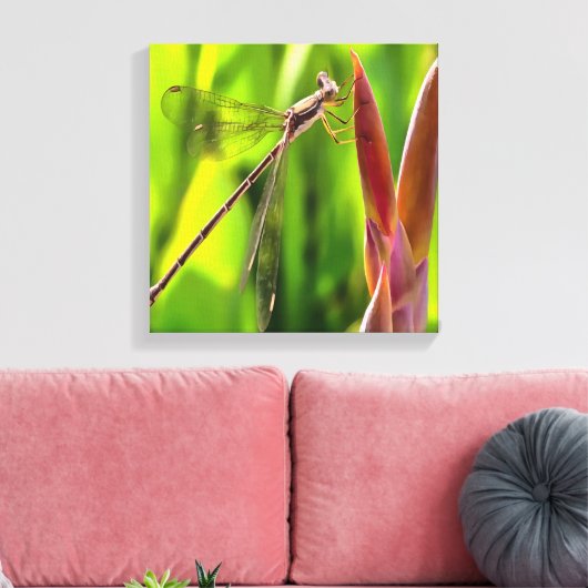 Damselfly balanciert auf einem Blume Leinwanddruck (Insitu (Wohnzimmer))