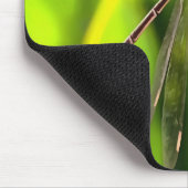 Damselfly balanciert auf einem Blume Mousepad (Ecke)
