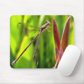 Damselfly balanciert auf einem Blume Mousepad (Mit Mouse)