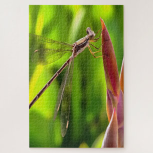 Damselfly balanciert auf einem Blume Puzzle