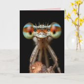 DAMSELFLY BIRTHDAY CARD KARTE (Gelbe Blume)
