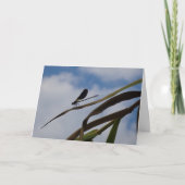 Damselfly in Blue Sky Card Karte (Vorderseite)