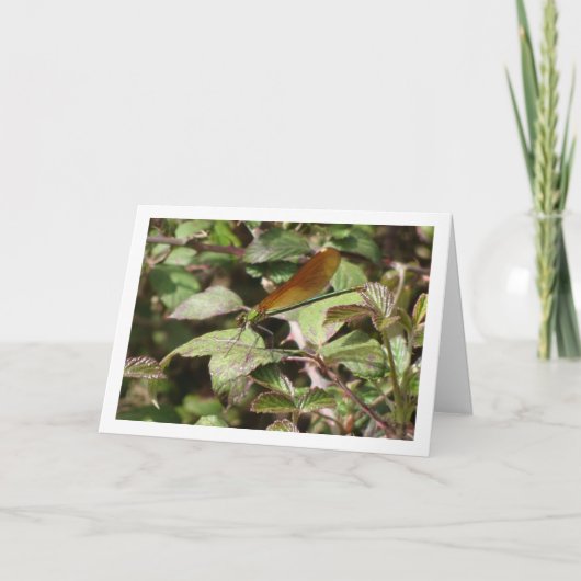 Damselfly-Portrait-Karte Karte (Vorderseite)