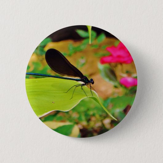 Damselfly und Rose Button (Vorderseite)
