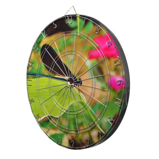 Damselfly und Rose Dartscheibe (Vorderseite rechts)